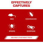 Tomcat Glue Traps Mouse Size With Eugenol For Enhanced Stickiness, 6 Traps | Sticky Pads For Mice, Cockroaches, And Spiders