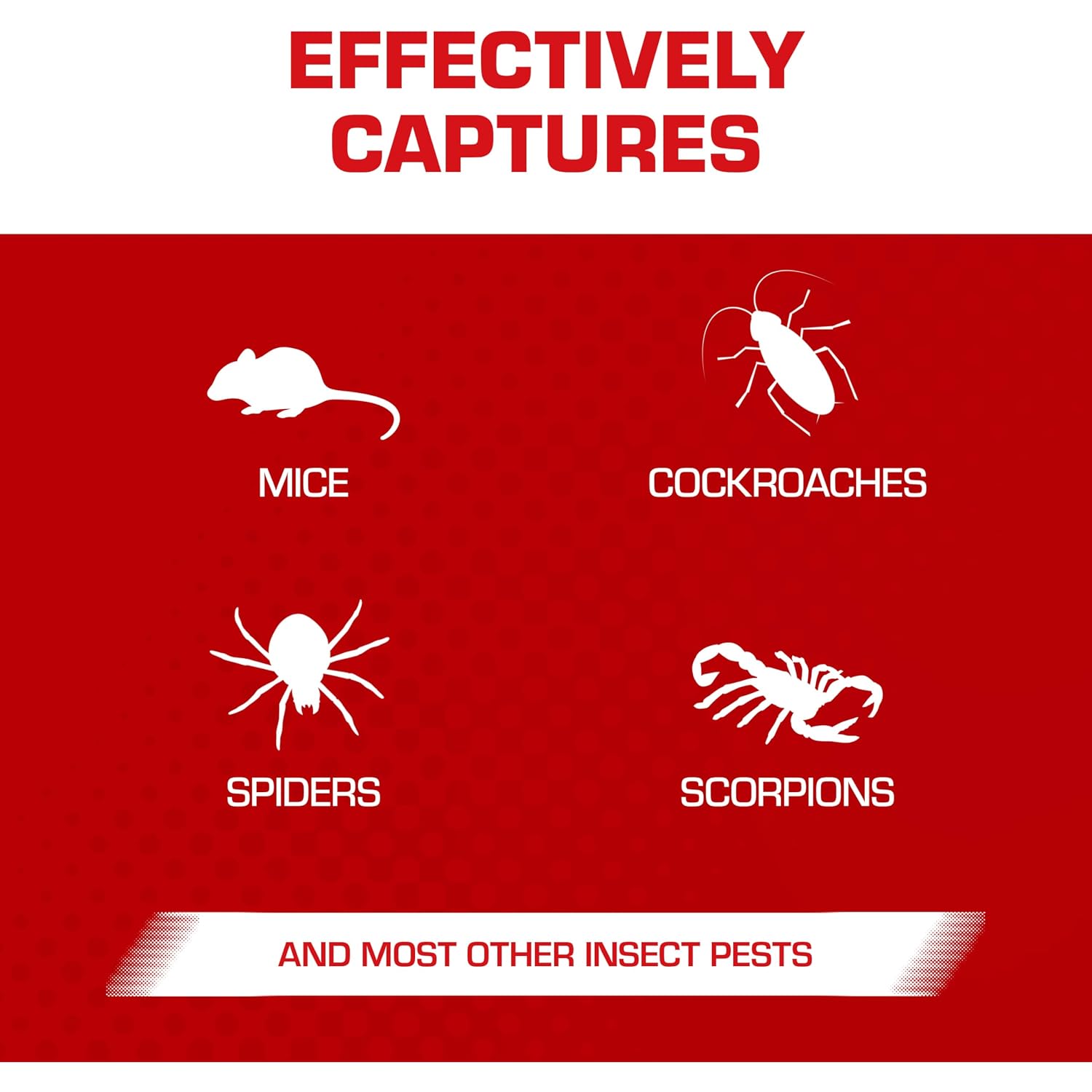 Tomcat Glue Traps Mouse Size With Eugenol For Enhanced Stickiness, 6 Traps | Sticky Pads For Mice, Cockroaches, And Spiders