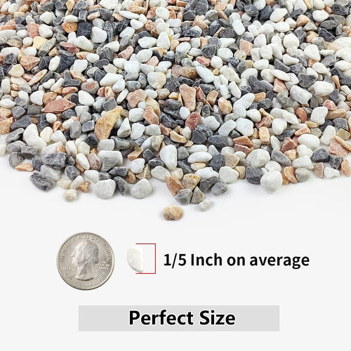 2Lb Succulent And Cactus Gravel Pebbles, 1/5 Inch Natural Decorative Polished Stones, River Rocks For Vases, Aquariums, Terrarium And Outdoor Gardening, Mixed Color
