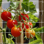 Heavy-Duty Polyester Garden Trellis Netting Plant Climbing Net For Growing Vines Plants Vegetables Fruits Flowers, White Grow Tent (5Ft X15Ft, 3.5" Opening Mesh, 1 Pack)