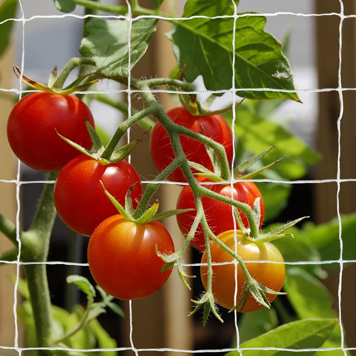 Heavy-Duty Polyester Garden Trellis Netting Plant Climbing Net For Growing Vines Plants Vegetables Fruits Flowers, White Grow Tent (5Ft X15Ft, 3.5" Opening Mesh, 1 Pack)