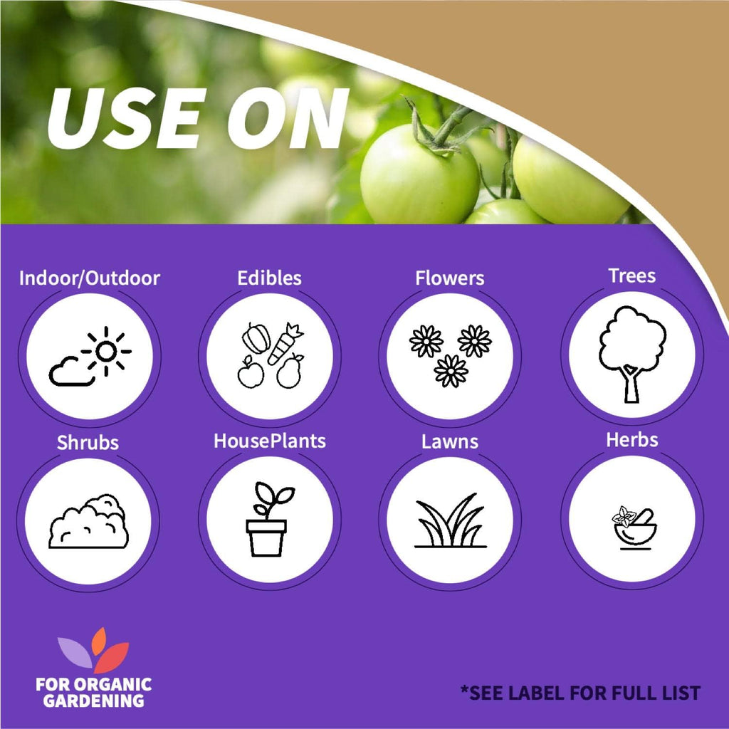 Bonide Captain Jack'S Neem Max, 16 Oz Concentrated Cold Pressed Neem Oil, Multi-Purpose Insecticide, Fungicide, Miticide, And Nematicide For Organic Gardening