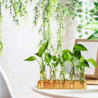 Plant Propagation Station, Plant Terrarium With Wooden Stand | Plants Pots For Hydroponics, Small Birthday Gardening Gifts For Women Mom Plants Lovers Unique - 5 Glass Test Tubes Vases