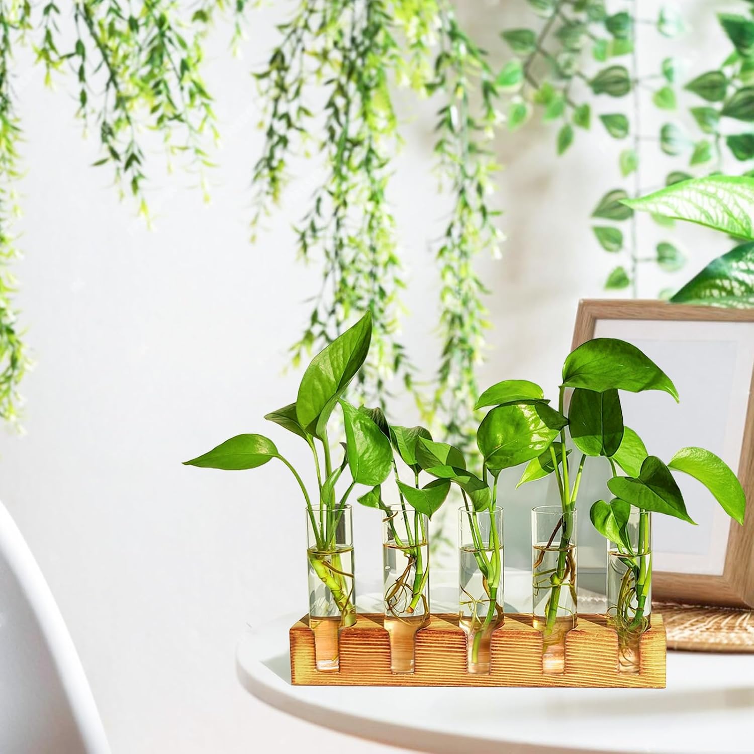 Plant Propagation Station, Plant Terrarium With Wooden Stand | Plants Pots For Hydroponics, Small Birthday Gardening Gifts For Women Mom Plants Lovers Unique - 5 Glass Test Tubes Vases