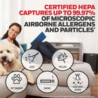 Honeywell Hepa Air Purifier Filter R, 3-Pack For Hpa 100/200/300, 3000 And 5000 Series - Airborne Allergen Hepa Air Filter Replacement Targets Wildfire/Smoke, Pollen, Pet Dander, And Dust
