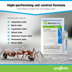 Syngenta 68078 Advion Singular Tube Ant Gel Lure, 30G