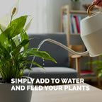 Peace Lily Fertilizer – Liquid Plant Food For More Blooms, Deep Green Leaves & Healthy Root Development, 8 Oz