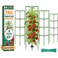 65 Inch 4 Pack Heavy Duty Tall Tomato Cages For Garden | Large Plant Support Stakes For Climbing Plants Heavy Vegetables, Adjustable Tomato Trellis For Outdoor Raised Garden Beds