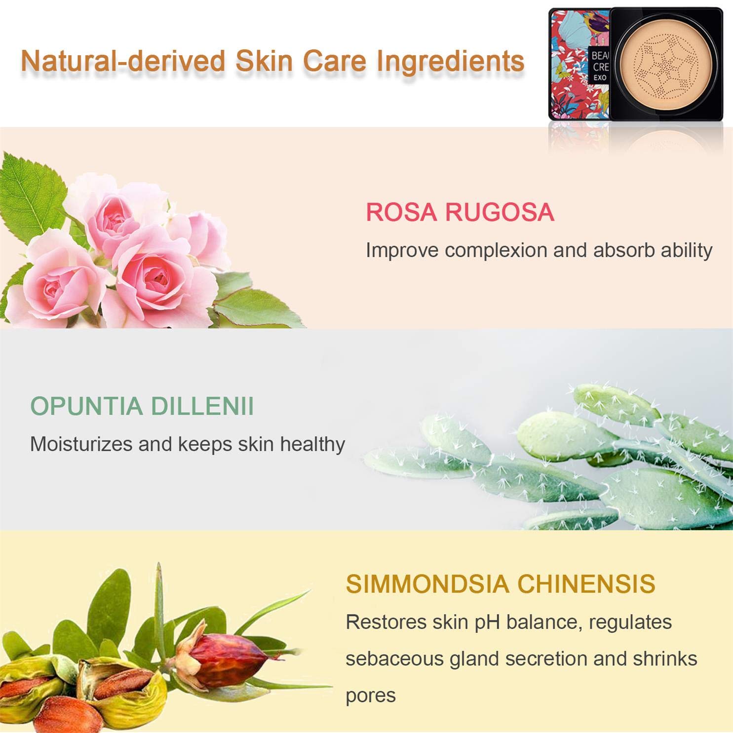 NUIBO Mushroom Head Air Cushion CC Cream, Full Coverage Concealer & Flawless Foundation Makeup, Tattoo Cover Up, Long Lasting Coverage to Hide Blemishes & Even Skin Tone, Natural Bright Finish