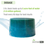 Pond Boss Cbbpr5 Pro Block Bacteria, 5-Pound