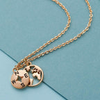 Zealmer Dainty 18K Gold Plated Compass World Map Pendant Necklace Graduation Gift for Friends
