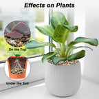River Rocks, Decorative Ornamental Pebbles,Garden Landscaping Stones | Gravel Filler For Home Decoration Flower Bed Fish Tank Plants Vases Succulents