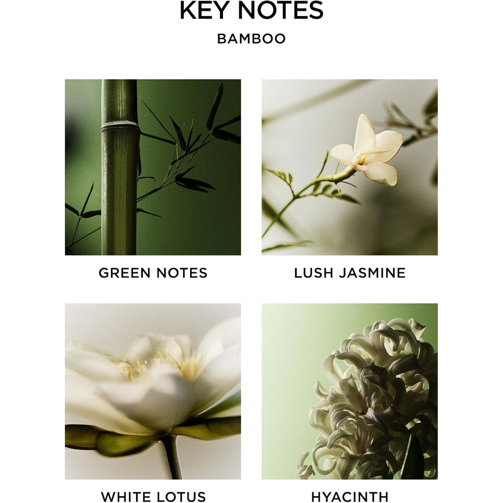 Nest New York Reed Diffuser, Bamboo - 5.9 Fl Oz - Fragrance For Up To 90 Days - Reusable, Refillable Glass Holder - Includes 8 All-Natural Reed Sticks - Flame Free