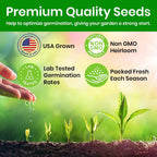 Naturez Edge Lettuce Seeds For Planting, 4 Popular Varieties Non-Gmo Heirloom Seeds, Red Romaine, Bibb Butter, Black Seeded Simpson, Green Ice Lettuce, Romaine, Salad Lettuce, Hydroponic Garden, Usa