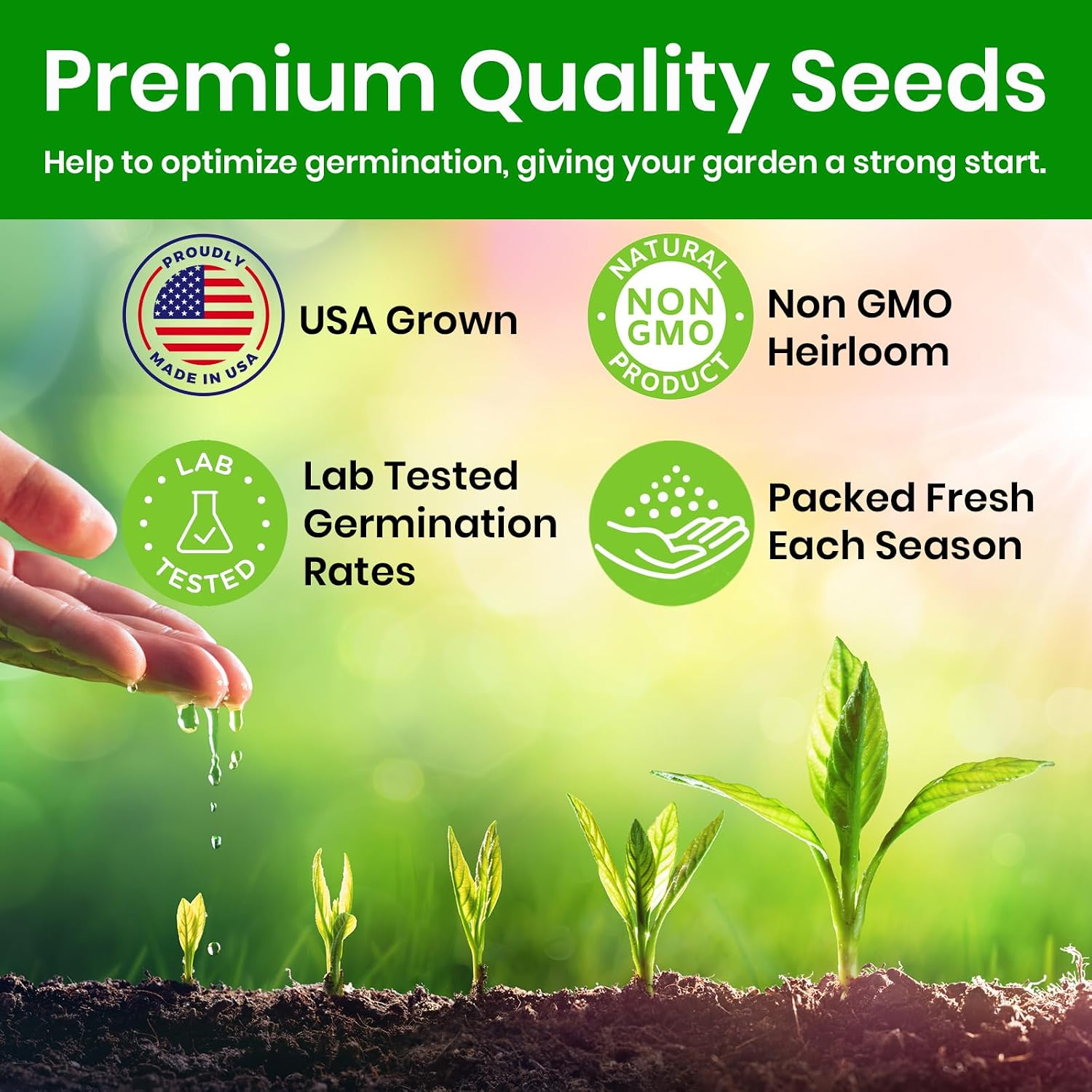 Naturez Edge Lettuce Seeds For Planting, 4 Popular Varieties Non-Gmo Heirloom Seeds, Red Romaine, Bibb Butter, Black Seeded Simpson, Green Ice Lettuce, Romaine, Salad Lettuce, Hydroponic Garden, Usa