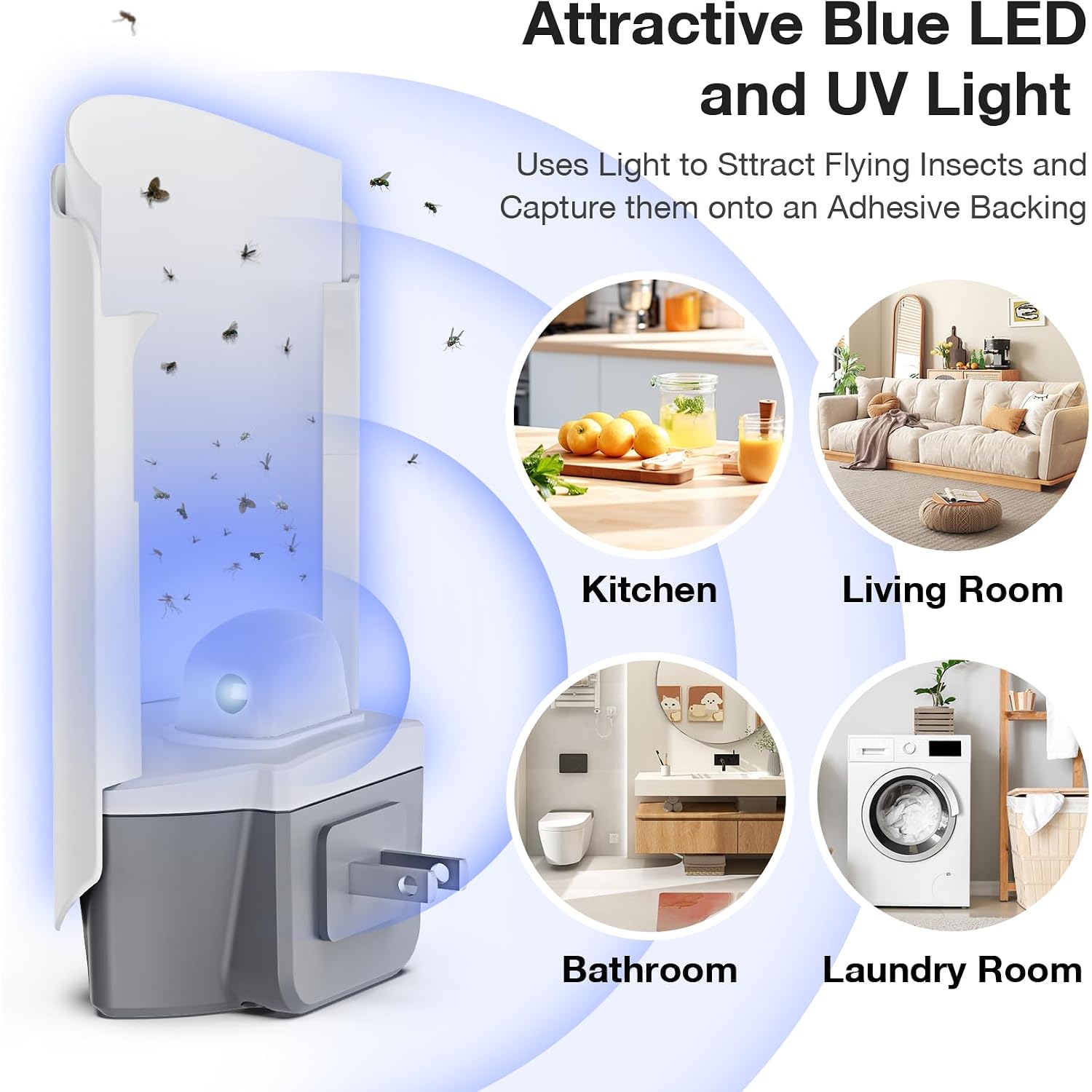 Forhimn Fly Trap Indoor, 2 Plug-In Fly Catchers With 6 Glue Card Refills, Fruit Fly & Gnat Trap For Home, Sticky Light Catcher For Flying Insects, Gnats & Moths, Clean & Quiet Indoor Plug-In Device