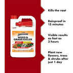 Spectracide Weed & Grass Killer, Use On Driveways, Walkways And Around Trees And Flower Beds, 1 Gallon (Rtu Spray)