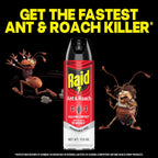 Raid Ant & Roach Killer 26, Fragrance Free Bug Killer For Home Use, Kills Bugs On Contact, Roach And Ant Spray, 17.5 Oz, 2 Count
