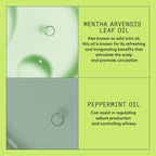 Nioxin System 2 Scalp + Hair Thickening Conditioner For Natural Hair With Progressed Thinning | Boost Hair Density With Niacinamide & Biotin | Refreshed Scalp With Healthy Shine
