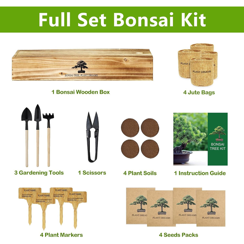 Bonsai Tree Kit, Bonsai Starter Kit With Seeds & Tools, Tree Live Plants Indoor, Gardening Gifts For Women Men Mom Father Plant Lover, Birthday Gifts For Women, Father Day Gifts