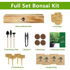 Bonsai Tree Kit, Bonsai Starter Kit With Seeds & Tools, Tree Live Plants Indoor, Gardening Gifts For Women Men Mom Father Plant Lover, Birthday Gifts For Women, Father Day Gifts