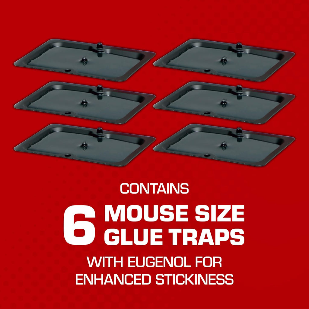 Tomcat Glue Traps Mouse Size With Eugenol For Enhanced Stickiness, 6 Traps | Sticky Pads For Mice, Cockroaches, And Spiders