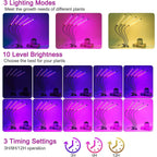 Leoter Grow Light For Indoor Plants - Upgraded Version 80 Led Lamps With Full Spectrum & Red Blue Spectrum, 3/9/12H Timer, 10 Dimmable Level, Adjustable Gooseneck,3 Switch Modes