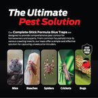 Glue Traps For Mice & Bugs – Safe Around Children & Pets – Strong Adhesive Glue For Bugs, Insects & Cockroaches – Easy To Use & Clean – Sticky Glue Traps For Indoor Use (12 Pack)