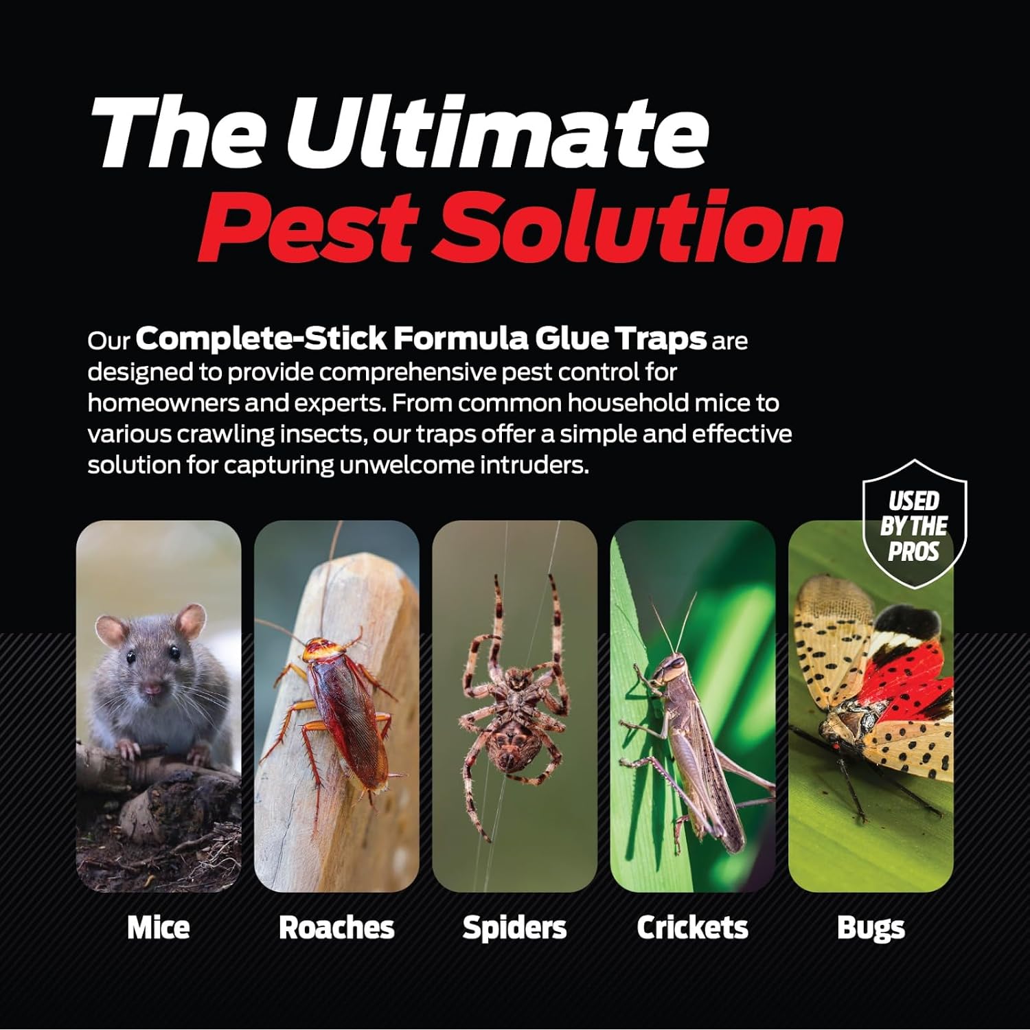 Glue Traps For Mice & Bugs – Safe Around Children & Pets – Strong Adhesive Glue For Bugs, Insects & Cockroaches – Easy To Use & Clean – Sticky Glue Traps For Indoor Use (12 Pack)