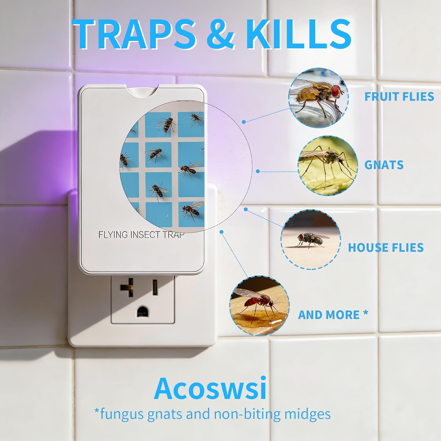 Indoor Fly Trap Plug In, Flying Insect Trap With Blue Uv Light, Fruit Fly & Gnat Trap For Indoors, Mess-Free Bug Catcher For Home, 1 Device + 5 Refill Glue Cards