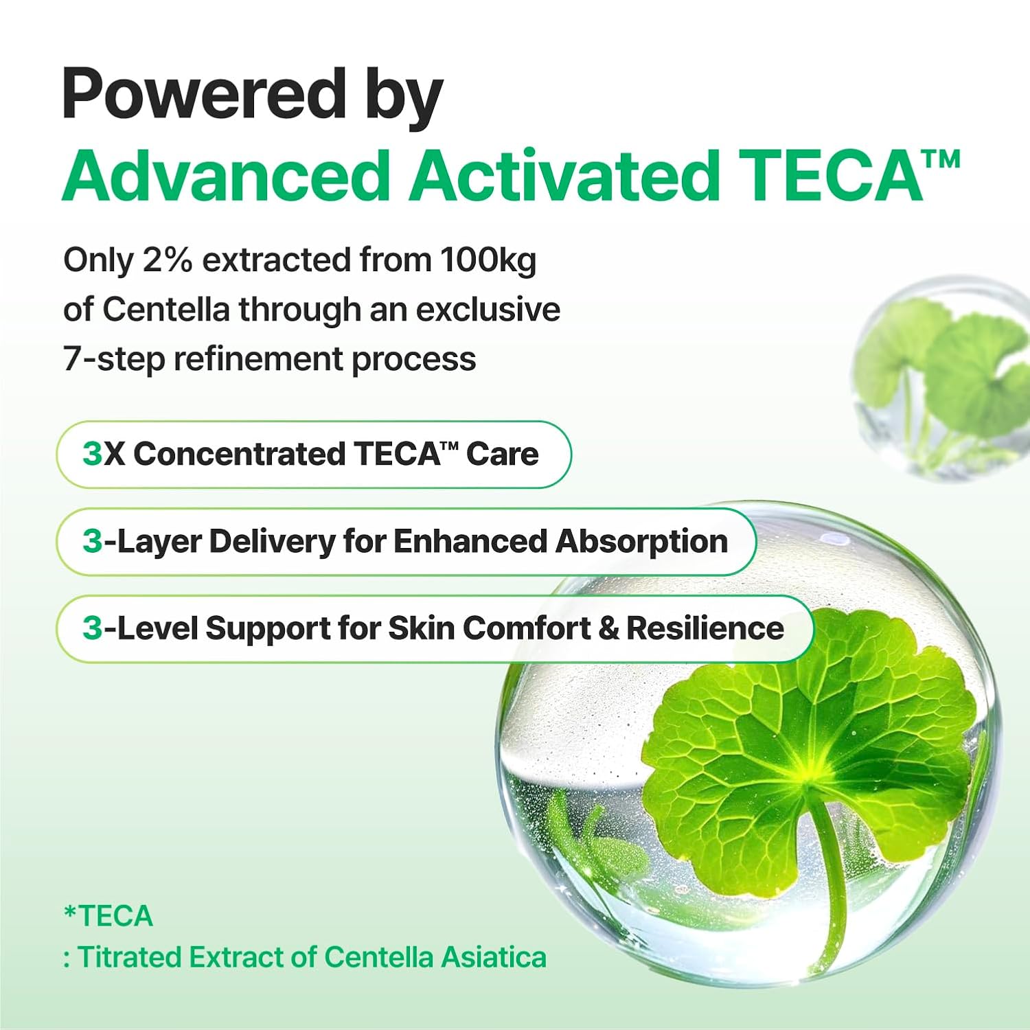 CENTELLIAN 24 Madeca Cream Time Reverse (1.69 fl oz) - TECA Centella Asiatica Glow Face Cream Moisturizer, Hydrating, Firming, Smoother Even-Looking Skin, Helps Improve Skin Elasticity,Korean Skincare