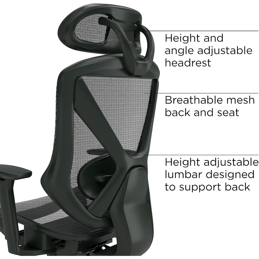 Staples Dexley Ergonomic Task Chair, Mesh, Ergonomic, Lumbar Support, Adjustable Height, Black