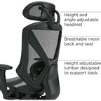 Staples Dexley Ergonomic Task Chair, Mesh, Ergonomic, Lumbar Support, Adjustable Height, Black