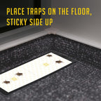 Cricket Traps Indoor (12 Traps) Extra Large Bug Sticky Traps - Non-Toxic Extra Sticky Glue Traps For Bugs - Pre-Baited Fruity Scent Crickets Bug Trap Indoor - Insect Glue Traps For Bugs - Trap A Pest