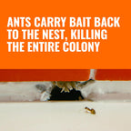 Terro, Ant Killer Bait Stations T300B - Liquid Bait To Eliminate Ants - Bait System - Stations For Effective Indoor Ant Control, 12 Count | Borax Formula, Kills The Queen & The Entire Colony, Liquid Ant Baits Indoor, Kills Household Ants, Indoor Use