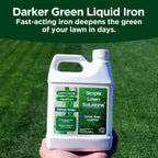 Simple Lawn Solutions - Liquid Iron Fertilizer Darker Green - Chelated Micronutrients - Concentrated Green Booster For Turf Grass, Indoor Plants And Outdoor Garden (32 Ounce)