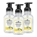 J.R. Watkins Foaming Hand Soap with Pump Dispenser, Moisturizing Foam Hand Wash, Alcohol-Free, Cruelty-Free, Citron, 9 fl oz, 3 Pack