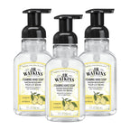 J.R. Watkins Foaming Hand Soap with Pump Dispenser, Moisturizing Foam Hand Wash, Alcohol-Free, Cruelty-Free, Citron, 9 fl oz, 3 Pack