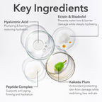 Dr Dennis Gross Derminfusions Fill + Repair Eye Cream: Hydrating & Brightening Treatment For Dark Circles, Fine Lines & Wrinkles, Firms & Smooths 360° Eye Area, 0.5 Oz