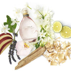 Sjp - Sweet, Floral, Musky Amber Woody Eau De Parfum Spray Fragrance For Women - With Notes Of Mandarin, Bergamot, Apple, And Cedarwood - Intense, Long Lasting Scent - 3.4 Oz