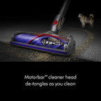 Dyson V11 Extra (Nickel/Purple)