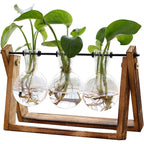 Xxxflower Plant Terrarium With Wooden Stand, Air Planter Bulb Glass Vase Metal Swivel Holder Retro Tabletop For Hydroponics Home Garden Office Decoration - 3 Bulb Vase
