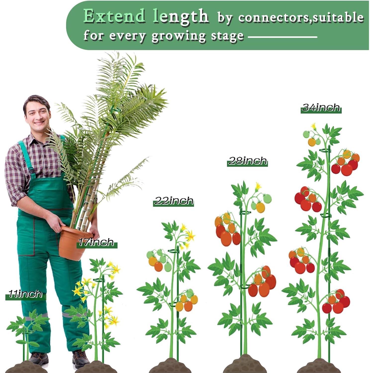 Plant Stakes 17Inch &11Inch Supking Adjustable Length Plant Support Stake 16Pcs Orchid Stick With Clips For Indoor Outdoor,Garden Pole For Potted Tomato Amaryllis Vegetables Comes With 20 Ties (Green)