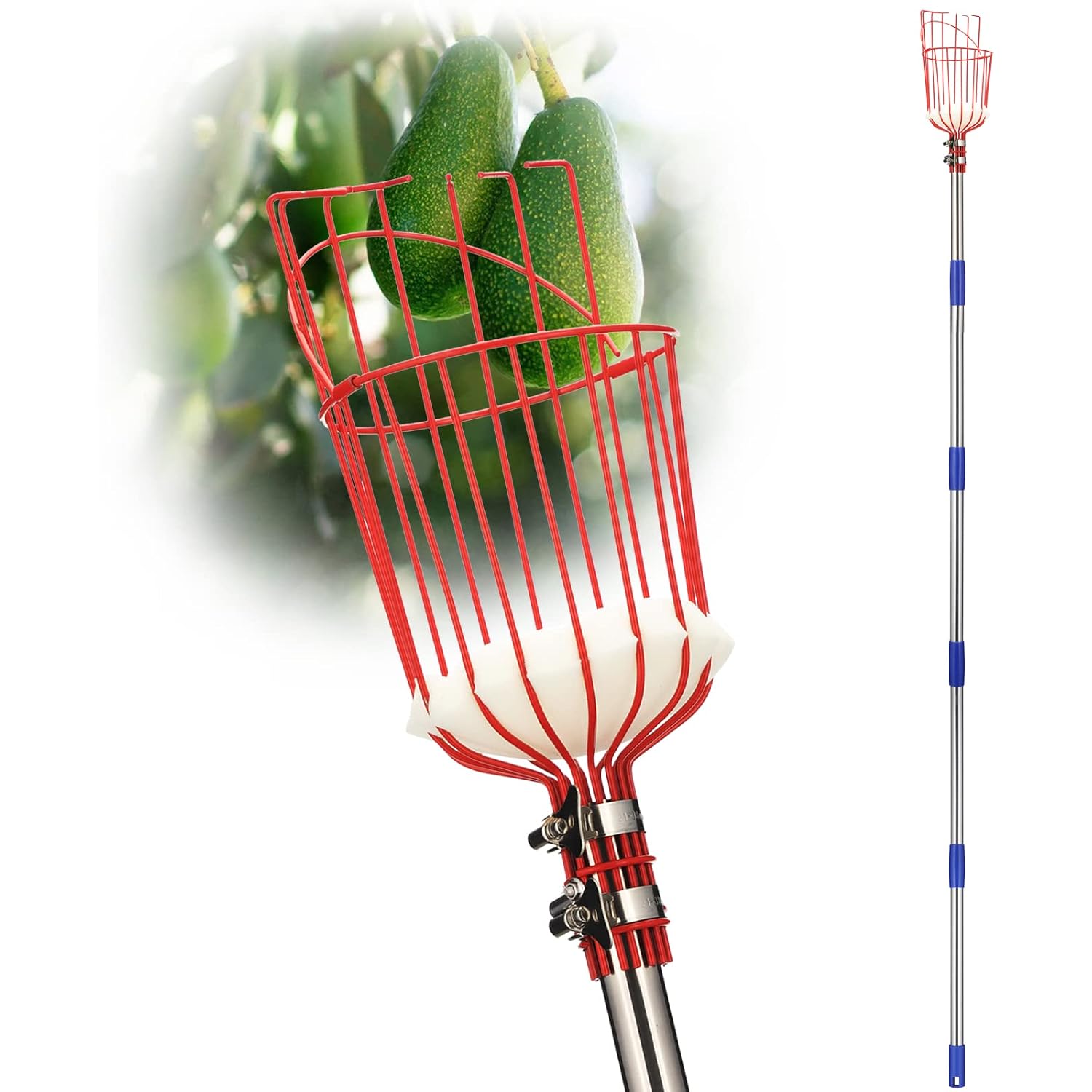 Donsail Fruit Picker Pole Tool With Basket Long Handle, 35-65 Inch Adjustable Apple Orange Picker Pole Tool With Basket For Avocado Acorn Lemon Pear Mango Tree Picker
