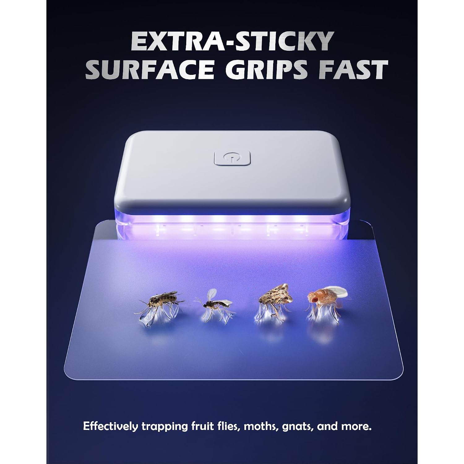 Lfsys Fruit Fly Traps For Indoors (1 Device+10 Refills) Plug In Fly Trap For Gnats, Fruit Flies, Flying Insects Sleek Design Indoor Safe