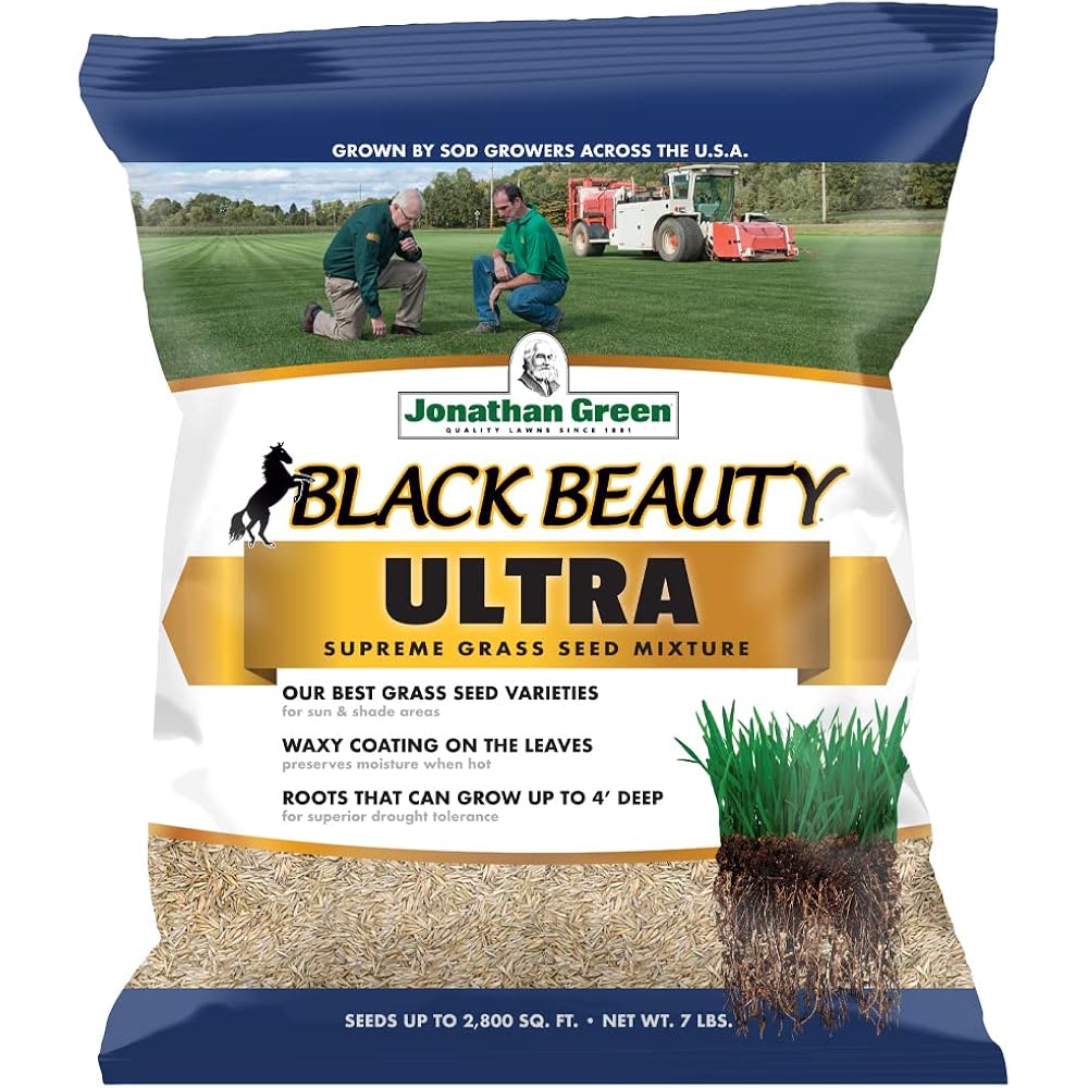 Jonathan Green (10322) Black Beauty Ultra Grass Seed - Cool Season Lawn Seed (7 Lb)