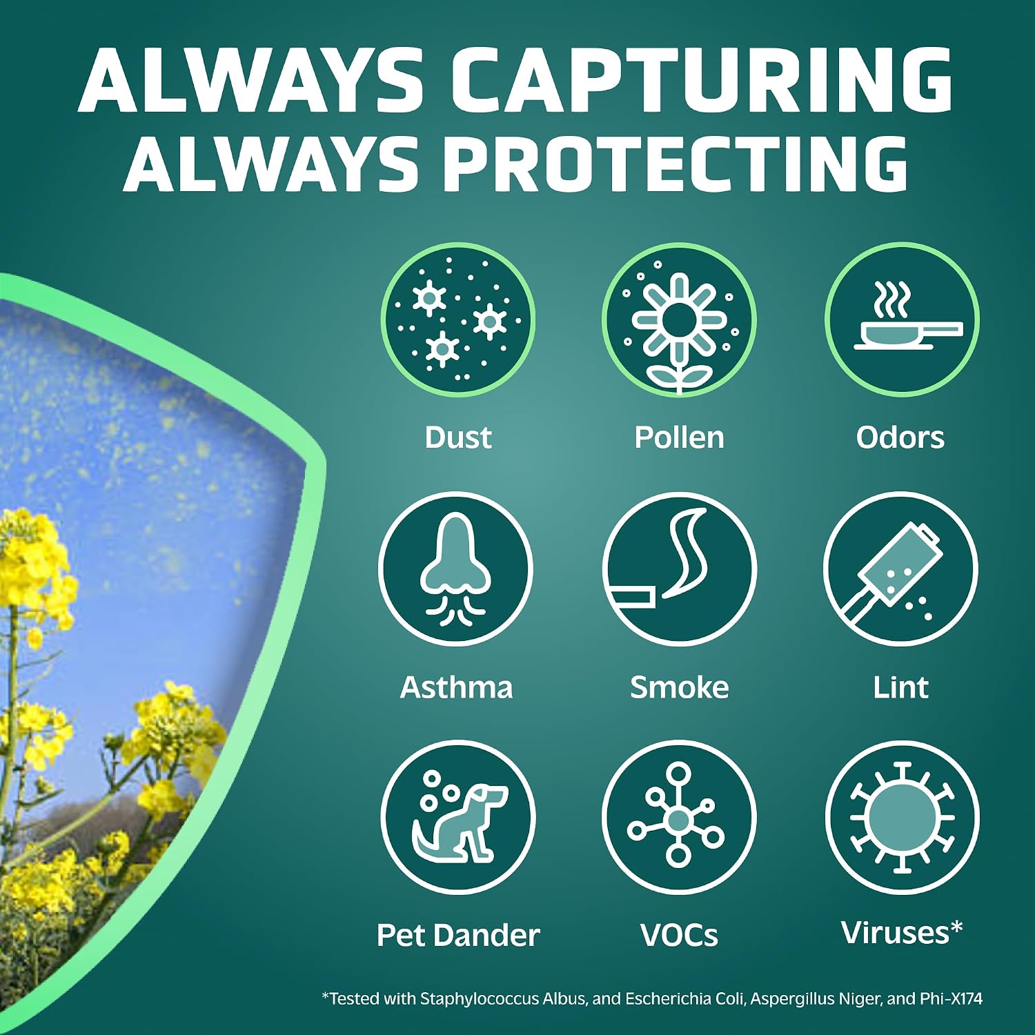 Germguardian, Filter B Hepa Pure Genuine Air Purifier Filter, Removes 99.97% Of Pollutants, Wildfire Smoke, Odors, For Ac4825, Ac4300, Ac4850, Ac4880, Ac4900, Cdap4500, Ap2200, Flt4825
