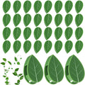 60 Pcs Plant Wall Clips, Plant Climbing Wall Fixture Clips, Wall Vines Fixing Clips With 72 Adhesive Stickers, Self-Adhesive Plant Fixer For Vine Support And Indoor Outdoor Decoration