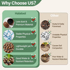2Lb Leca Clay Pebbles For Plants, 4-16Mm Hydro Balls For Drainage | Reusable, Ph-Neutral, Lightweight Expanded Clay Pebbles, Semi-Hydroponics Setups, Orchids, Succulents, Potted Plants