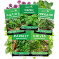 5 Herb Seeds Variety Kit, Oregano, Cilantro, Parsley, Basil, Chives